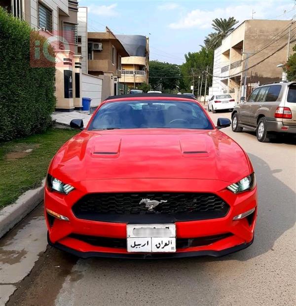 Ford for sale in Iraq